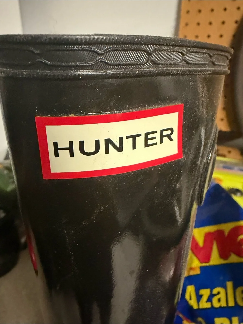 Hunter tall glossy